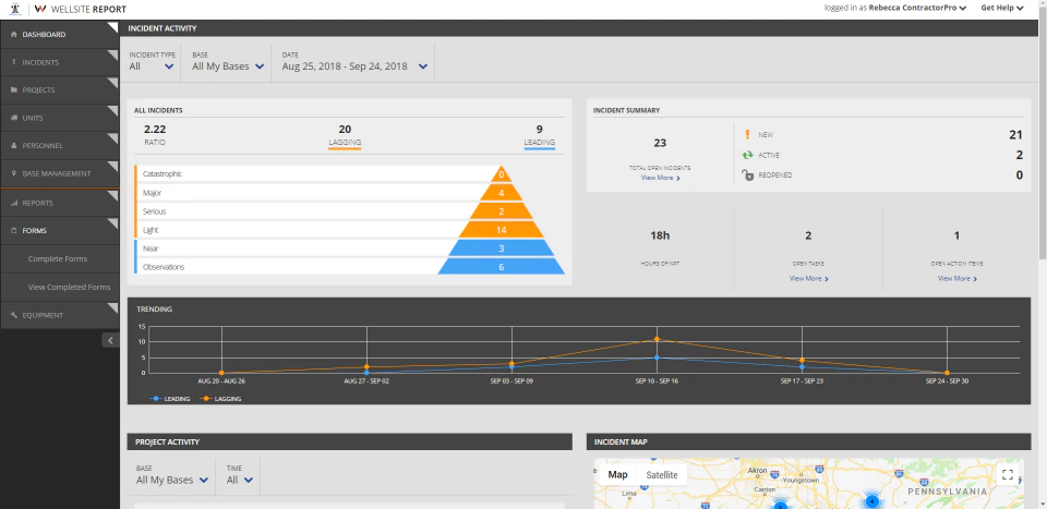 screenshot of Wellsite Report